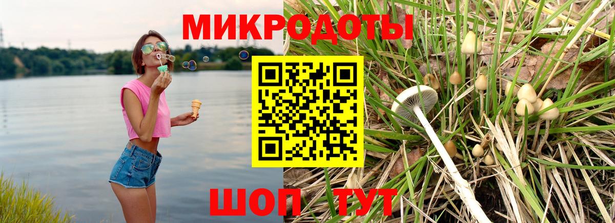 Электрогорск  Галлюциногенные грибы мухоморы  Вход с VPN 